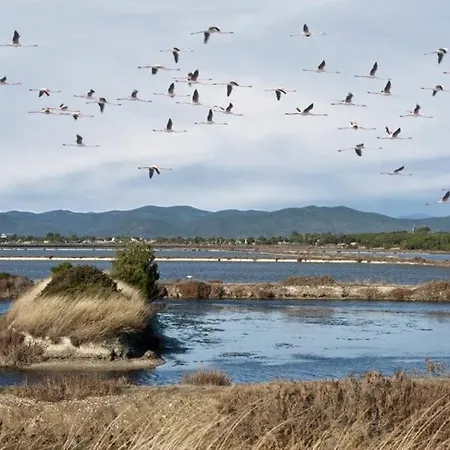 Lejlighed 110 M2 De Terras Vue Mer, Pieds Dans L Eau Pour 6 Pers Maxi Avec Clim Et Wifi Fibre Avec 390 Places De Parking Gratuites A Proximite